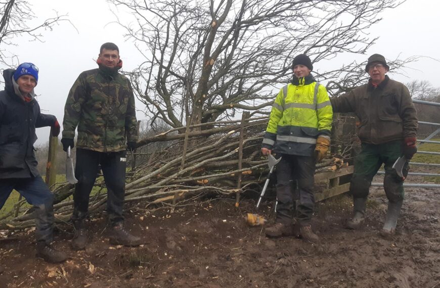 Trainees hone their hedge-laying skills