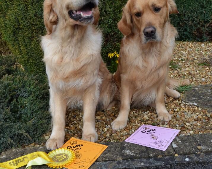 Among the top dogs at…