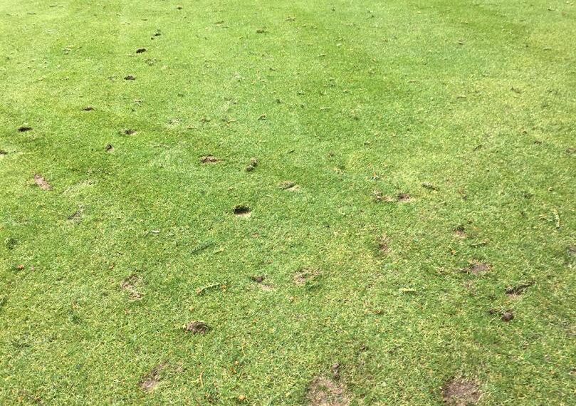 Cretins’ under fire after vandalism…