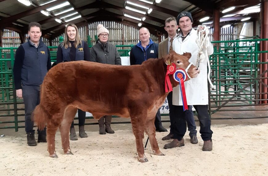 Champion shows plenty of potential