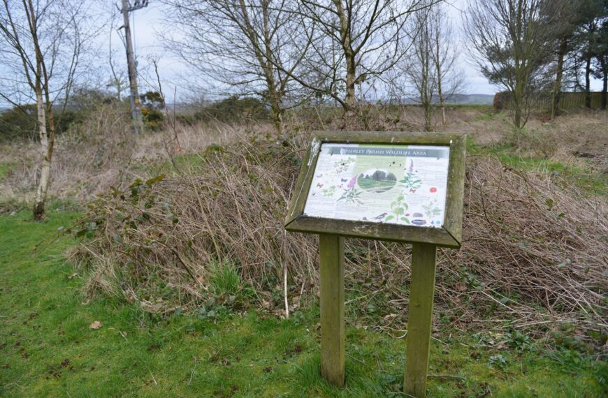 It’s not overgrown – it’s…