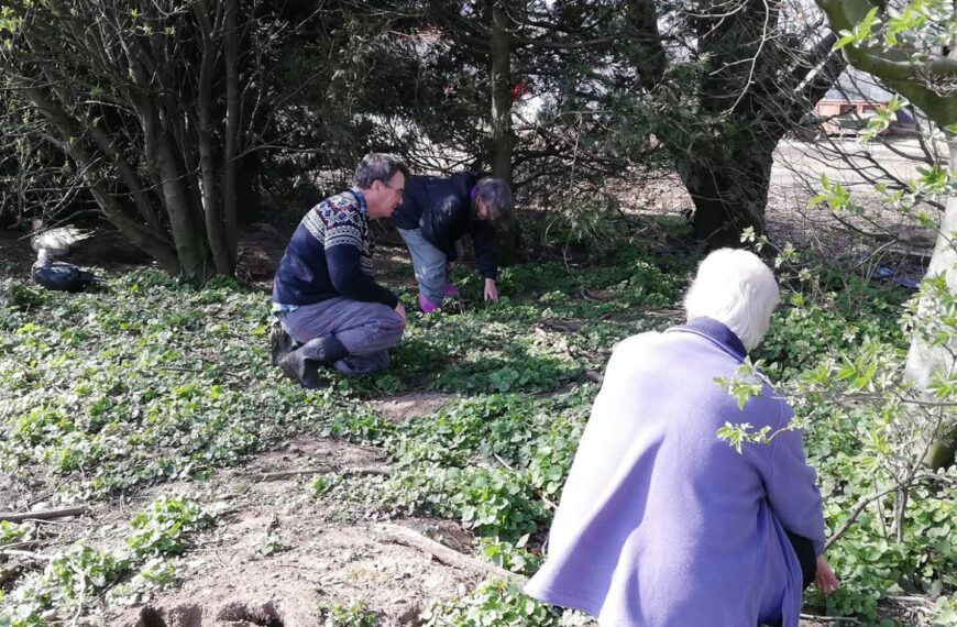 Centre turns to foraging in&hellip;