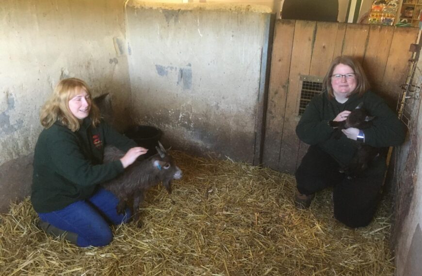 Animal rescue centre ‘humbled’ by…