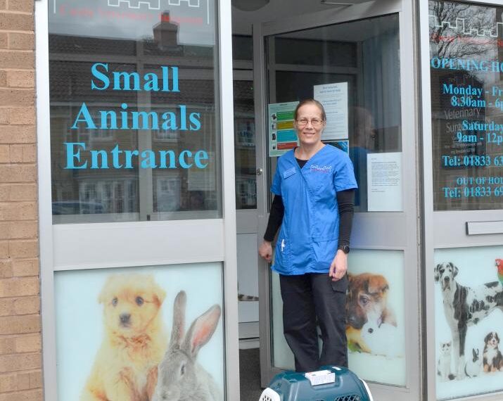 Vets consult by phone to…