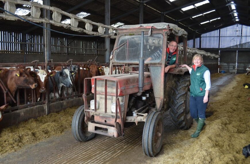 Secrets of a successful dairy&hellip;