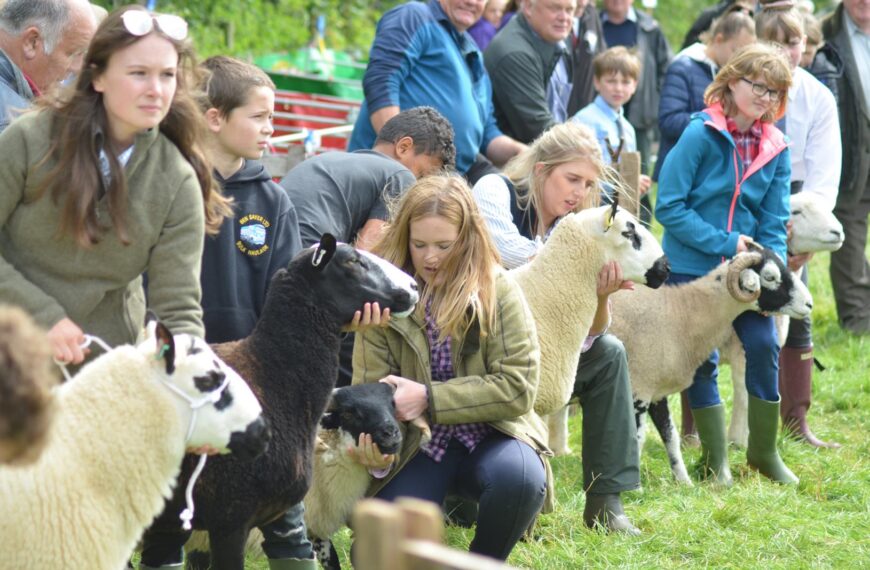 Organisers pull the plug on August’s agricultural shows