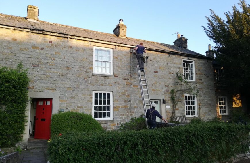 Swift action to help save species losing nest sites