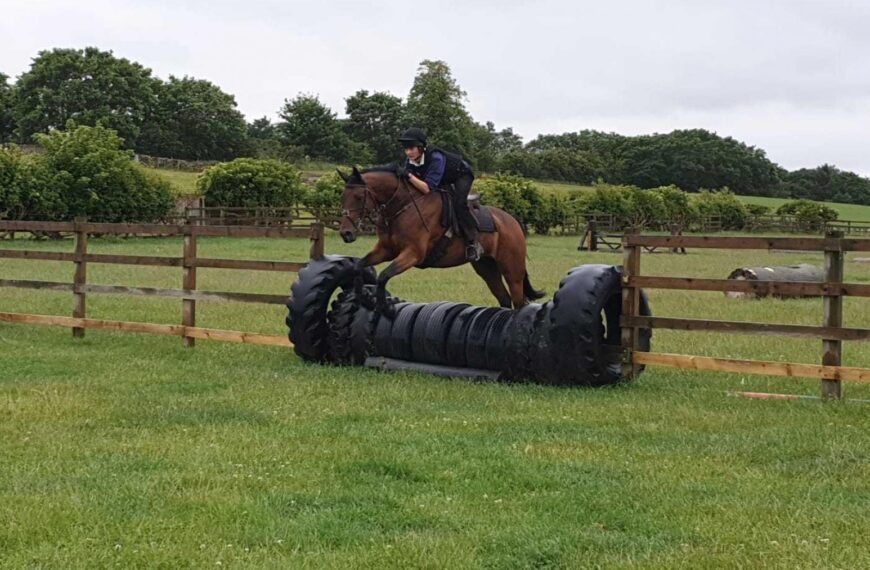Equine training centre Foxberry Chasers is back in the saddle after lockdown
