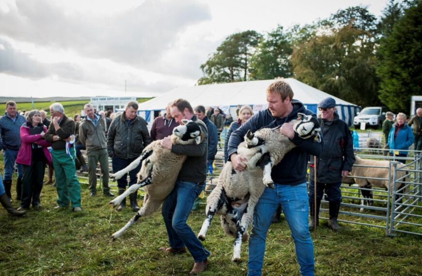 Langdon Beck show is called off
