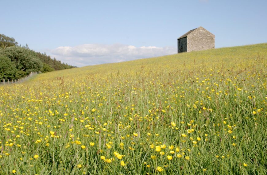 North Pennines toolkit to boost&hellip;