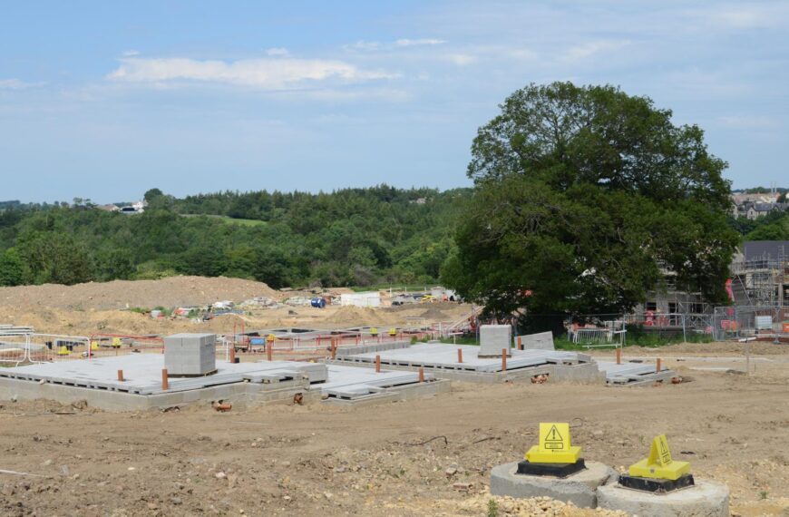 Enforcement as builder fells protected&hellip;