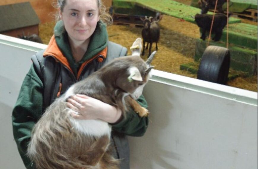Animal centre reopens after trial run proves a success
