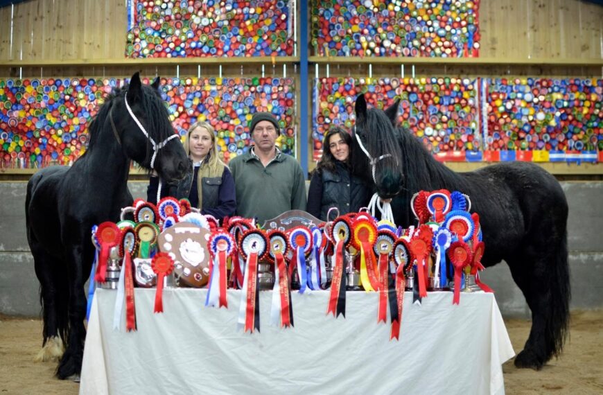 Champion pony breeders face planning…