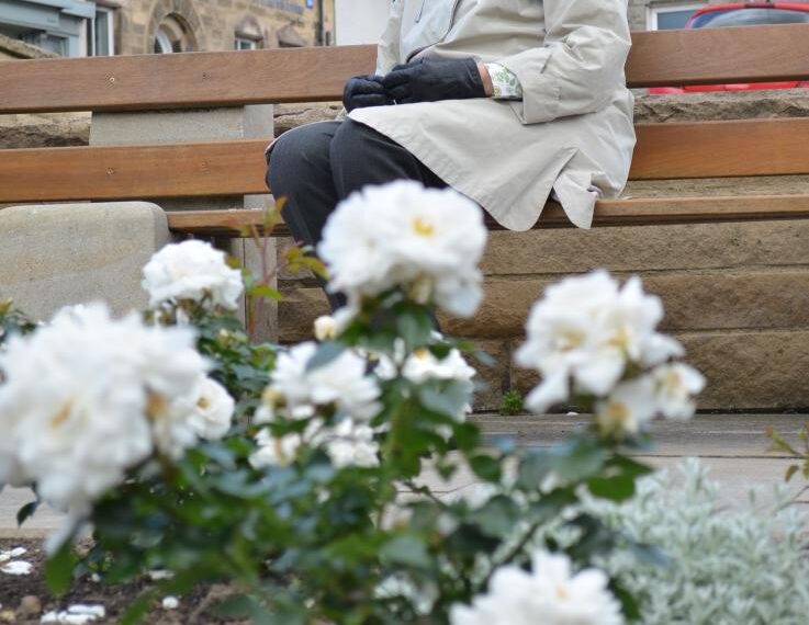 Everything’s coming up roses at&hellip;