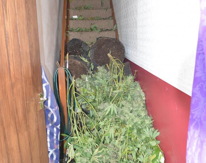 Break-in reveals drug farm at&hellip;