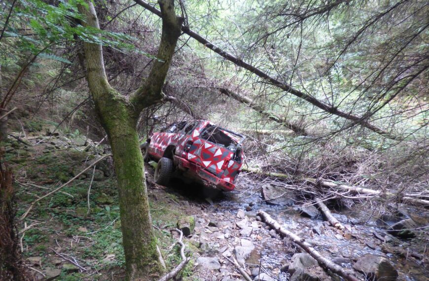 Call for forest track to be closed after damage caused by 4x4s