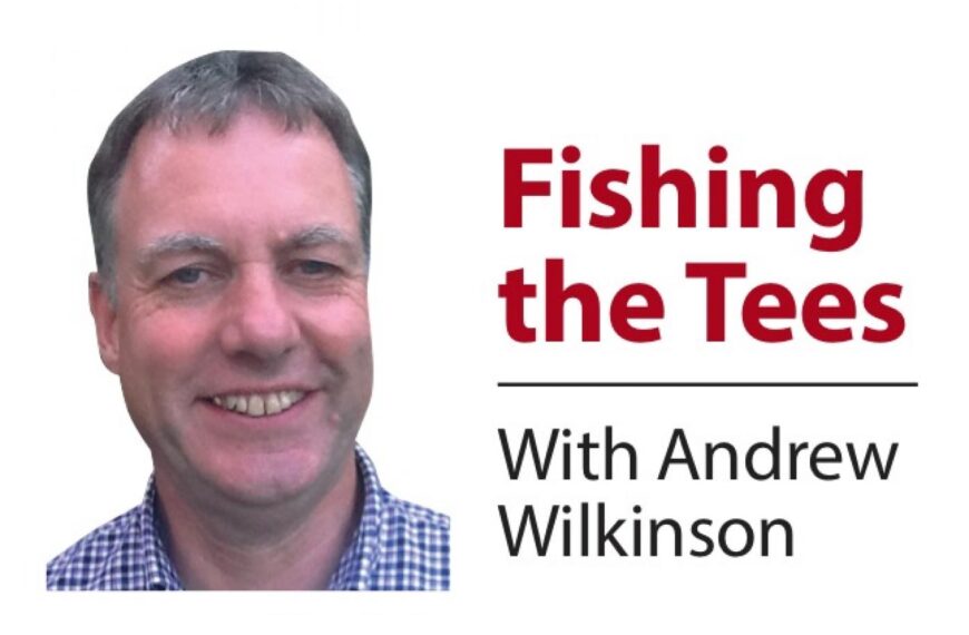 Fishing the Tees: Dog days&hellip;