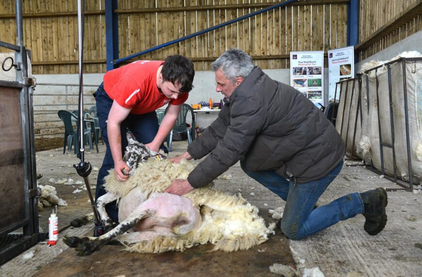 NFU cash available to fund training