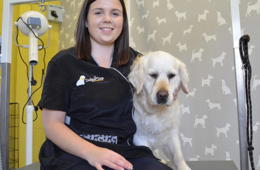 Designer Dogs is ‘paw-fect’ business move for Charlotte
