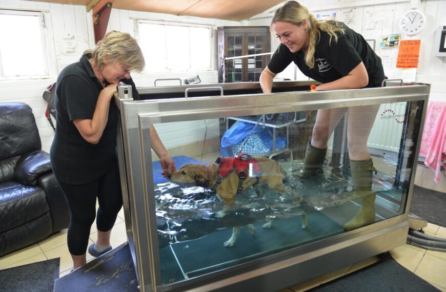 Hydrotherapy helping keep Covid-hit business afloat