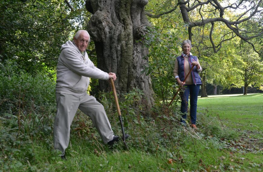 Volunteers sought to tidy up mess in the grounds of The Bowes Museum