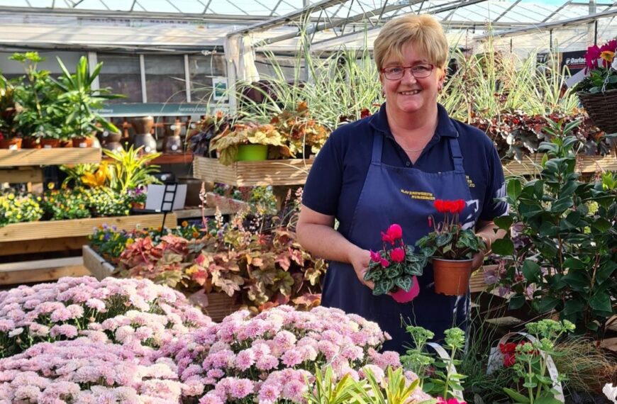 £1.1m plan to revamp Ravensworth…