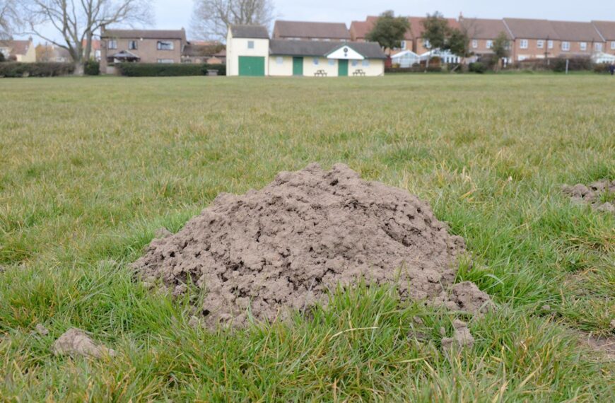 No cricket at Ingleton this&hellip;