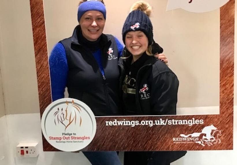 Equestrian centre leading efforts to ‘stamp out strangles’