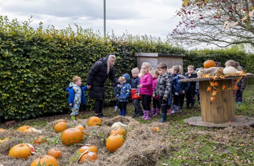 Teachers create pumpkin patch after&hellip;