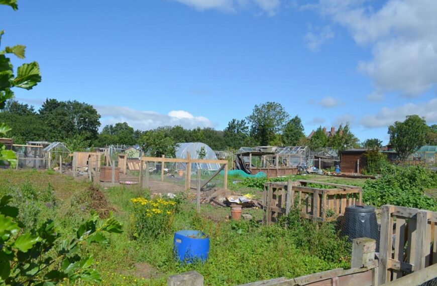 New rules agreed for Gainford allotments