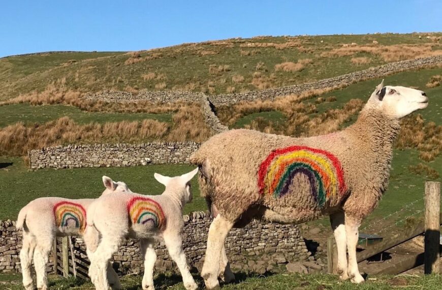 Utass calendar captures rural scenes