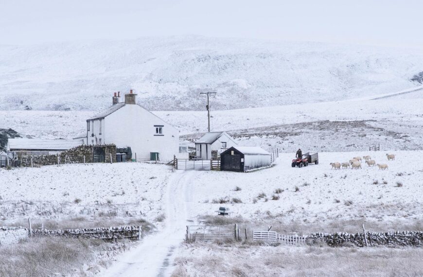 Is farming heading down the right path?