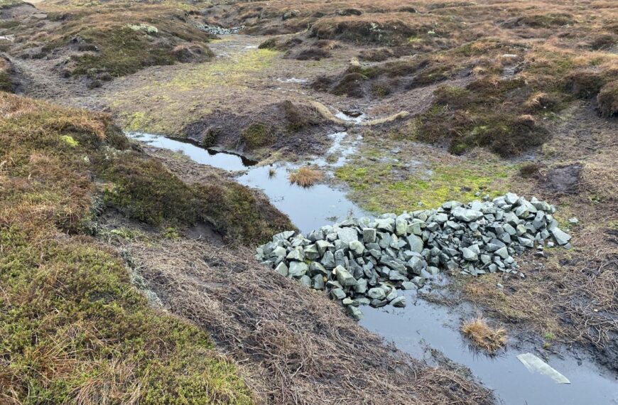 Dale moorland size of 1,000 rugby pitches sees peatland restoration