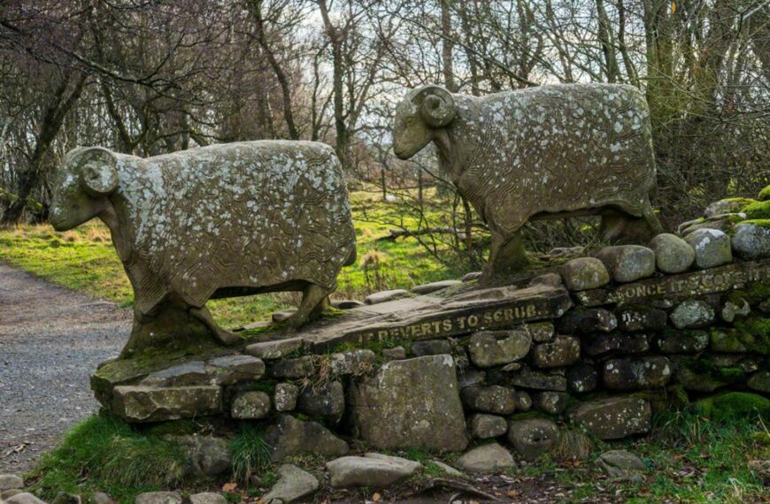 Elaine’s on the trail of dale’s public sculpture
