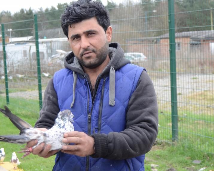 Theft of pigeons worth £3,000&hellip;