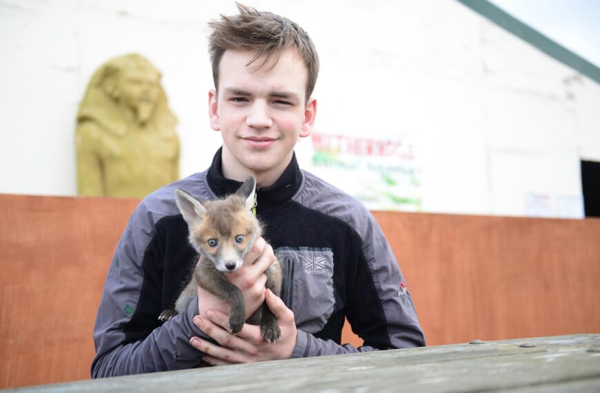 Six-week-old fox thinks it’s one&hellip;