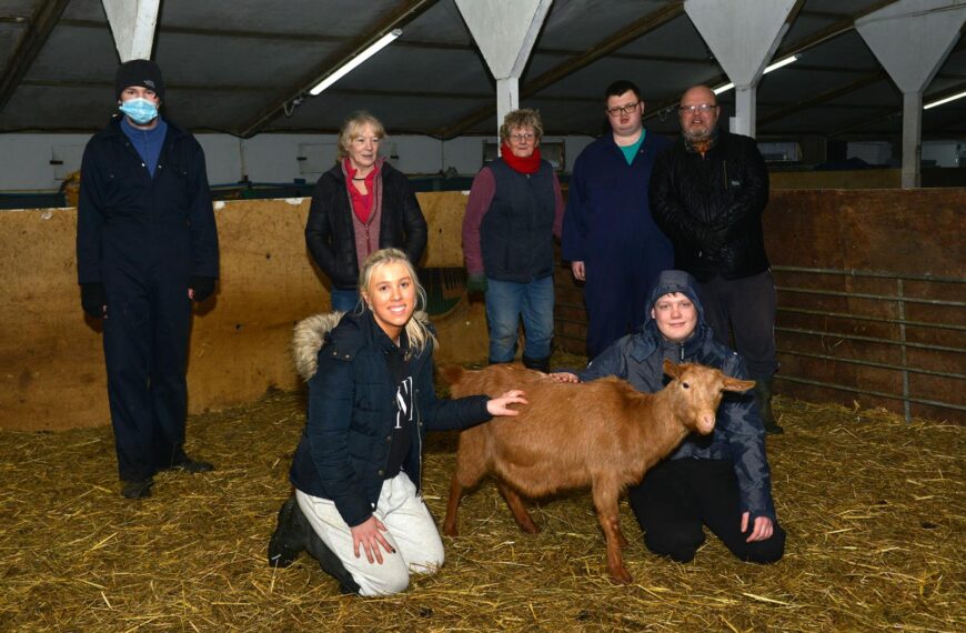Virtual tickets’ on sale to save animal centre from ruin