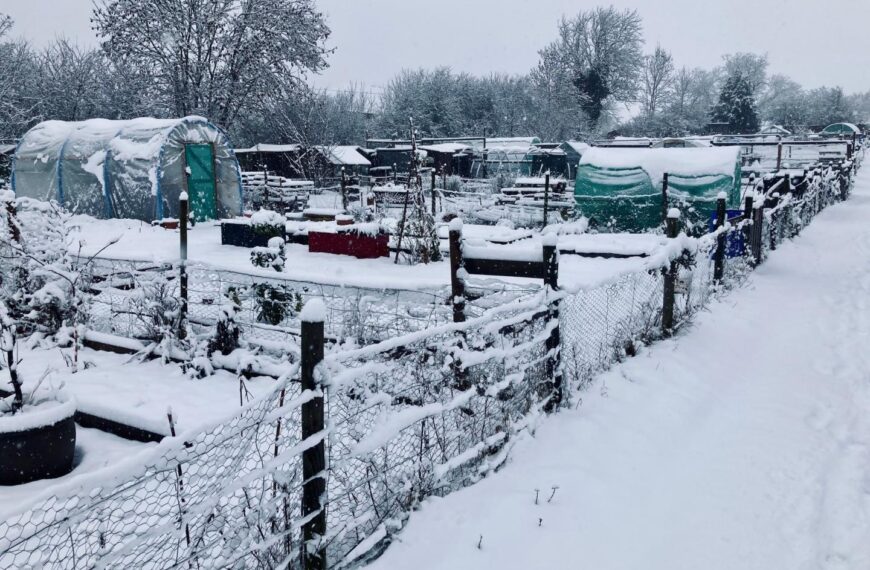 Rent ‘unpaid on allotments for&hellip;