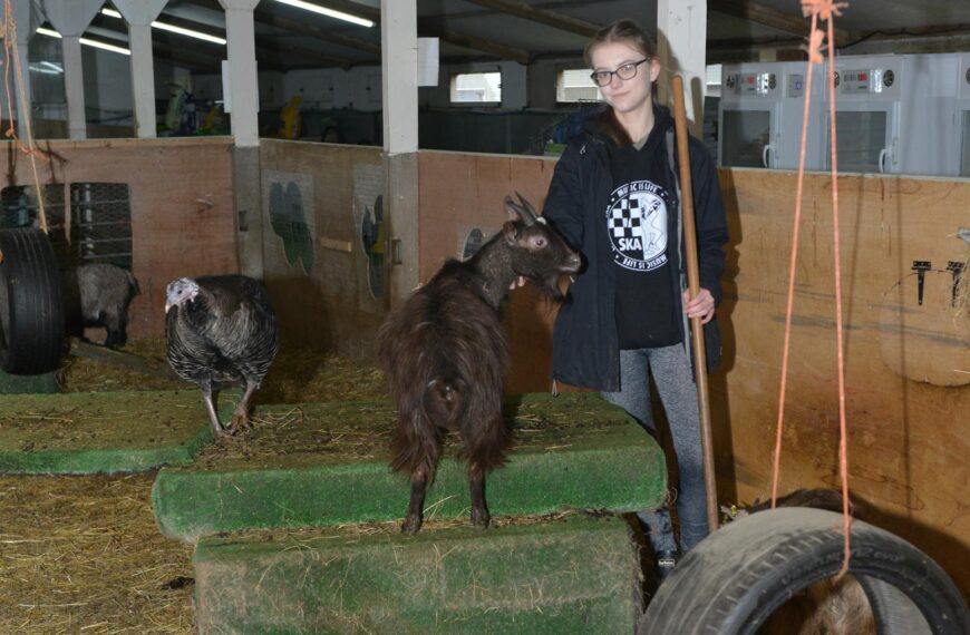 Animal sanctuary staff stunned by response to appeal