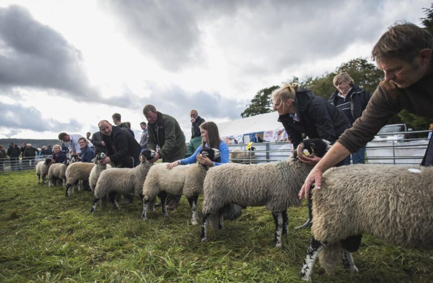 Show organisers hopeful this year’s&hellip;