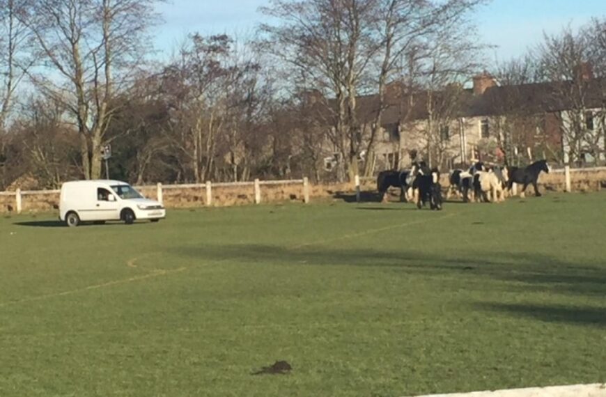 Plea over loose horses after&hellip;