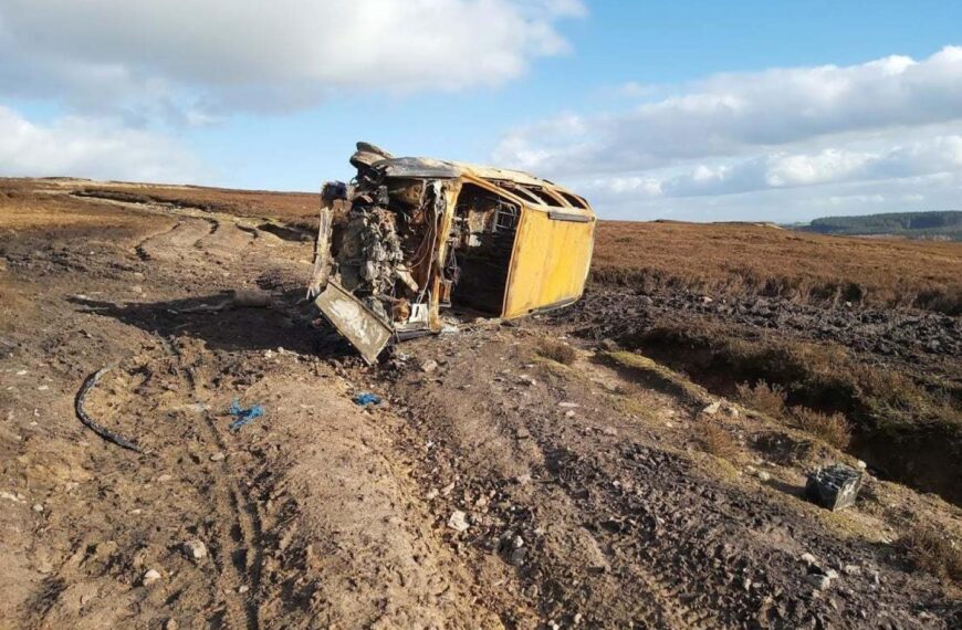 Surge in off-roaders damaging dale forest