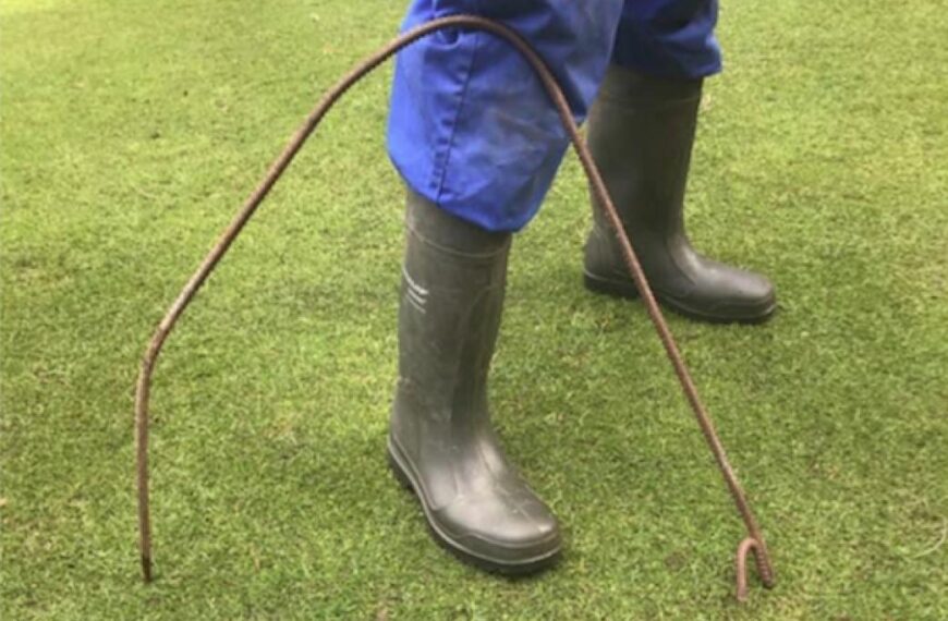 Vandals use rods to damage…