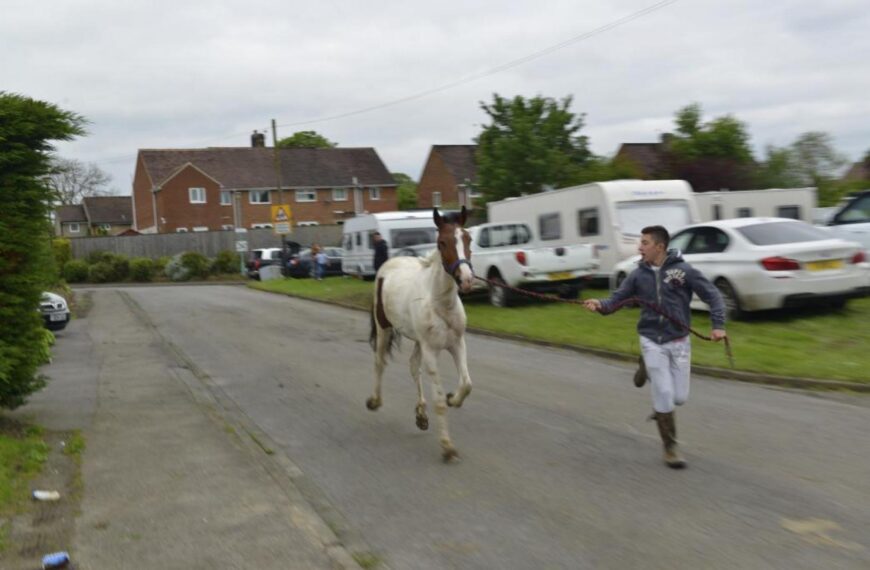 Travellers to pass through dale&hellip;