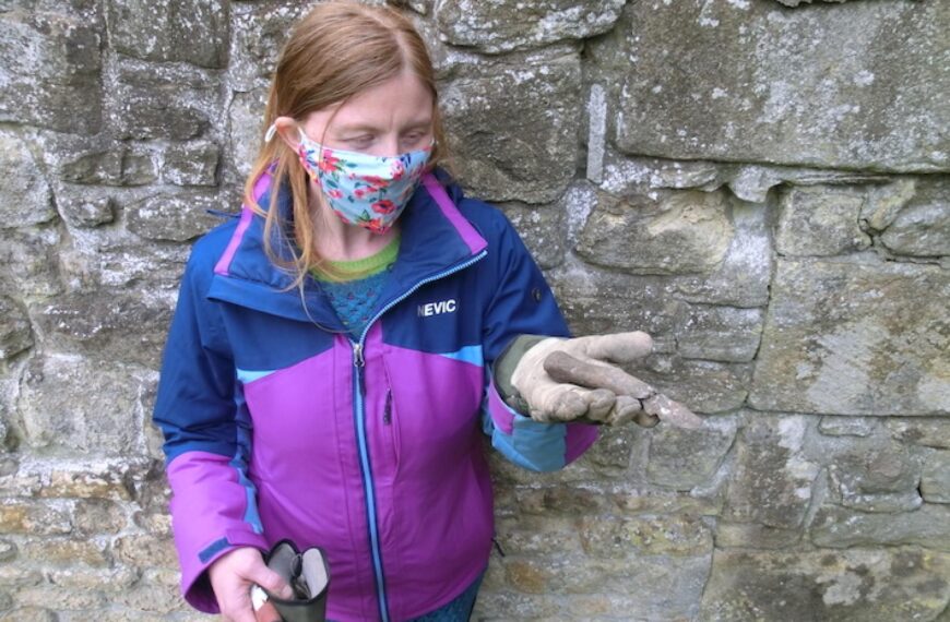 Unearthed remains hint at Viking&hellip;