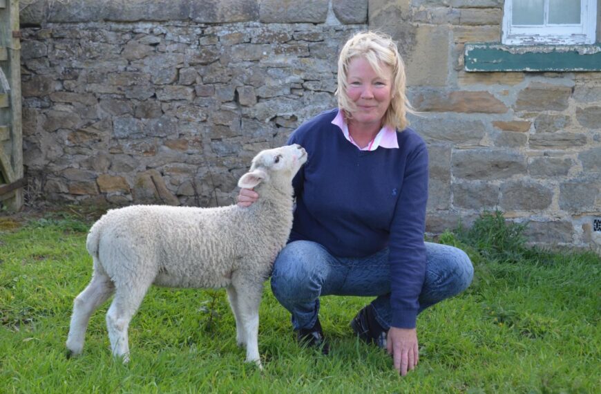 Farmer fears dog will strike&hellip;