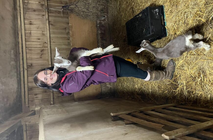 Rehabilitation centre at dale animal&hellip;