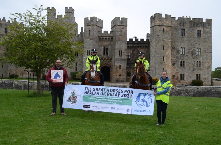 Relay highlights how horses can help