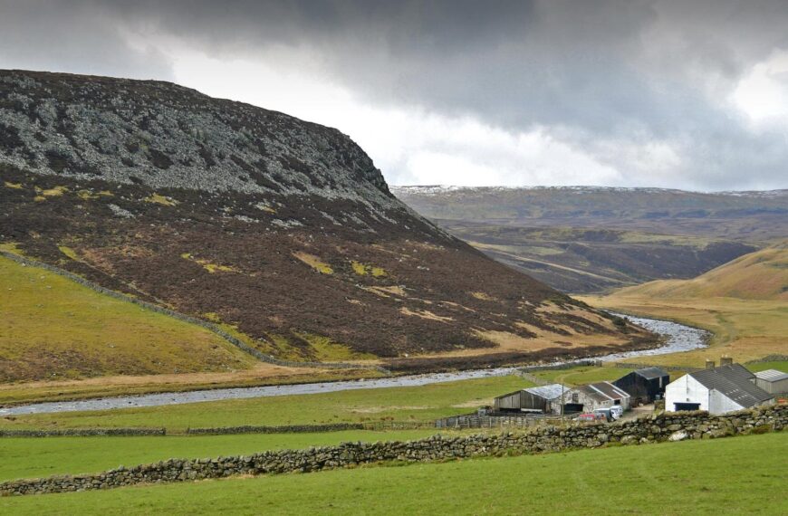 Escape for a walk on&hellip;