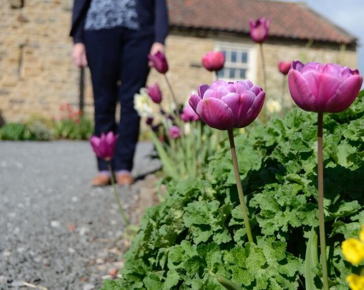 Riot of colour as Whorlton&hellip;